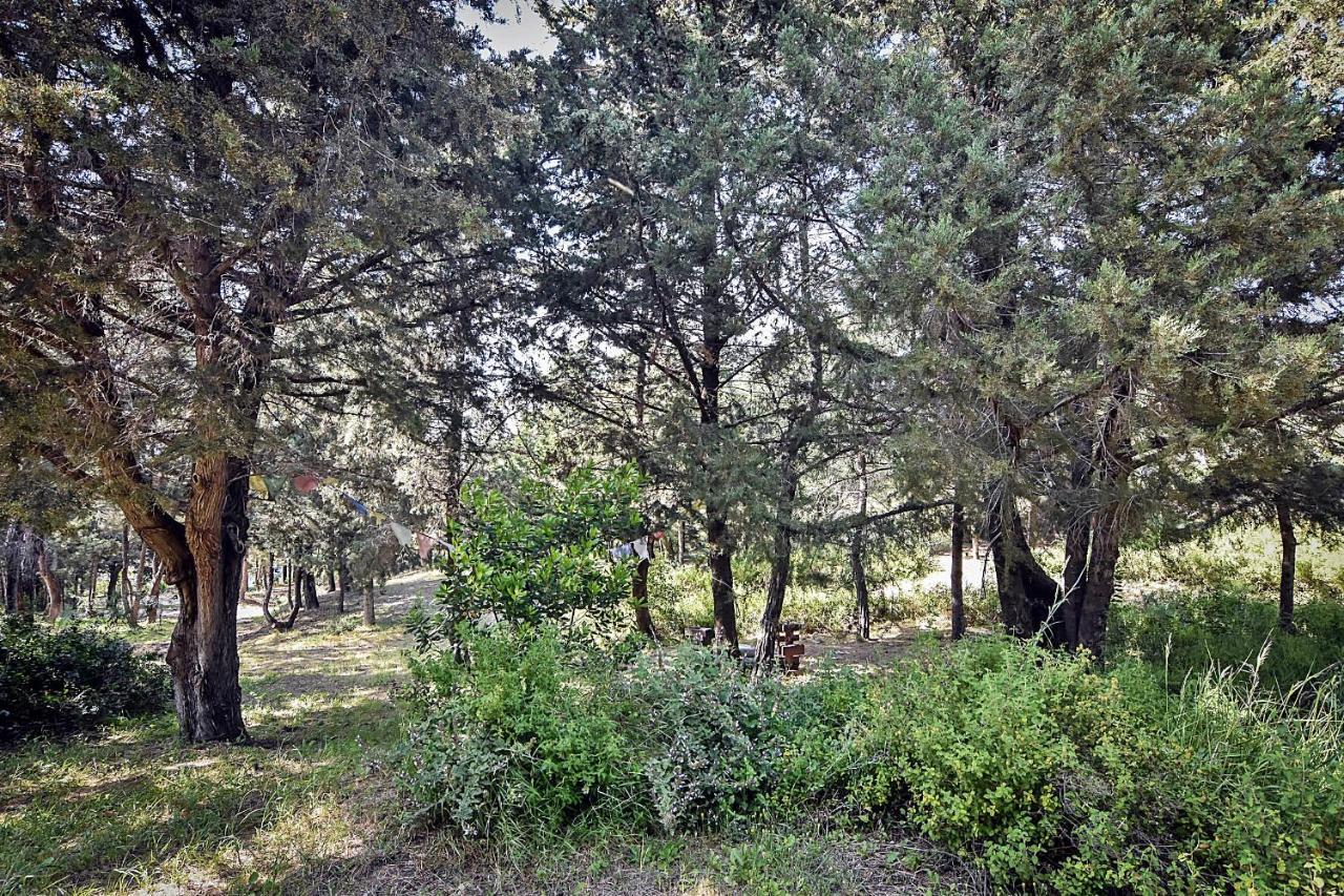 Drolma Ling Nature Cabins Теологос Экстерьер фото