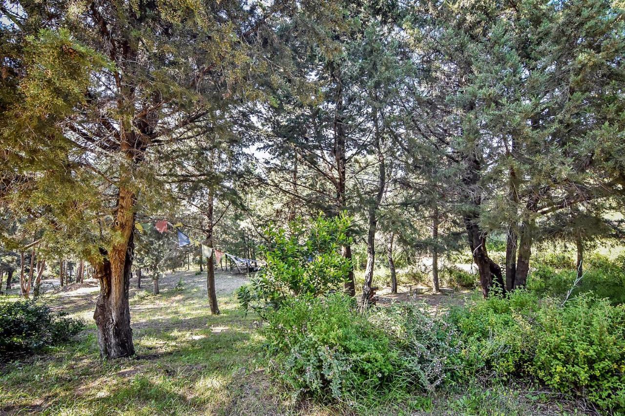 Drolma Ling Nature Cabins Теологос Экстерьер фото