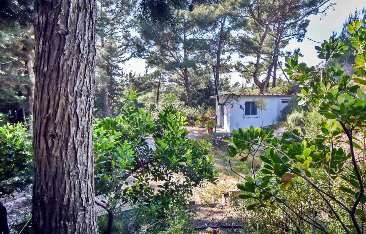 Drolma Ling Nature Cabins Теологос Экстерьер фото