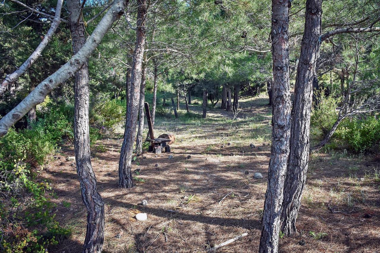 Drolma Ling Nature Cabins Теологос Экстерьер фото