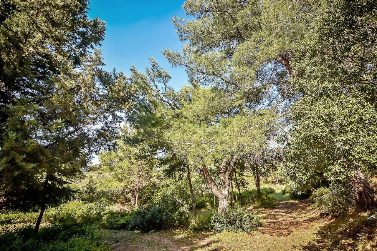 Drolma Ling Nature Cabins Теологос Экстерьер фото