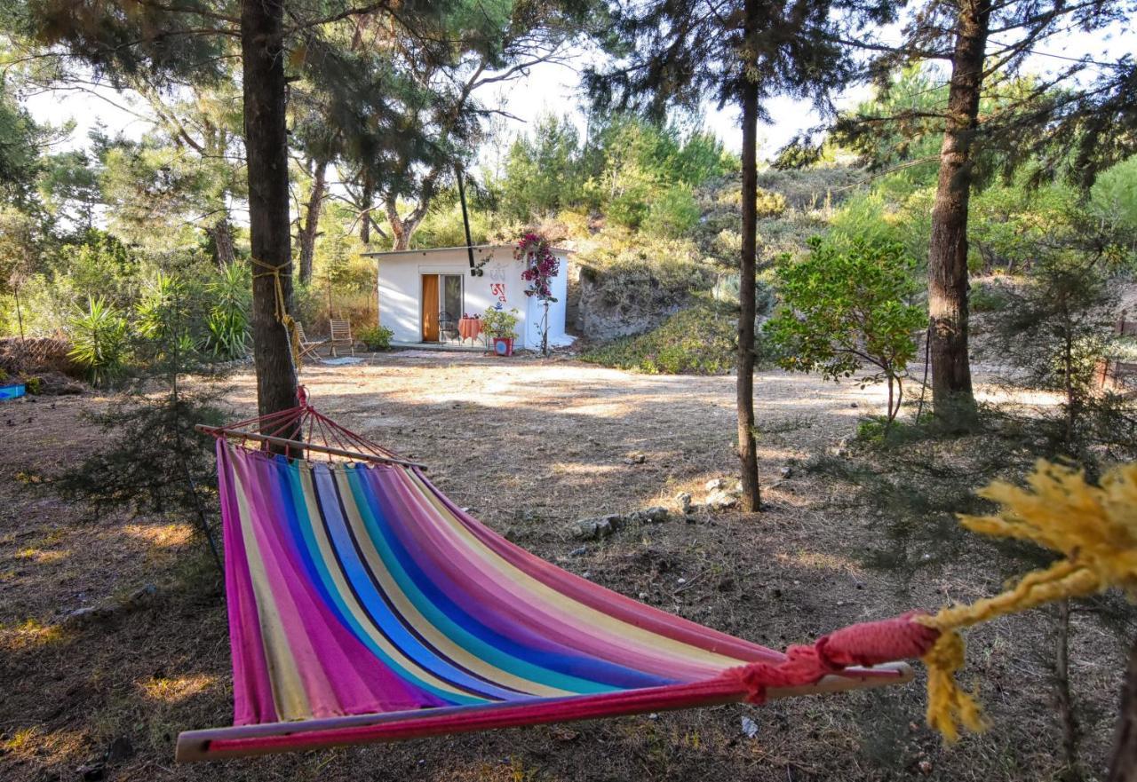Drolma Ling Nature Cabins Теологос Экстерьер фото