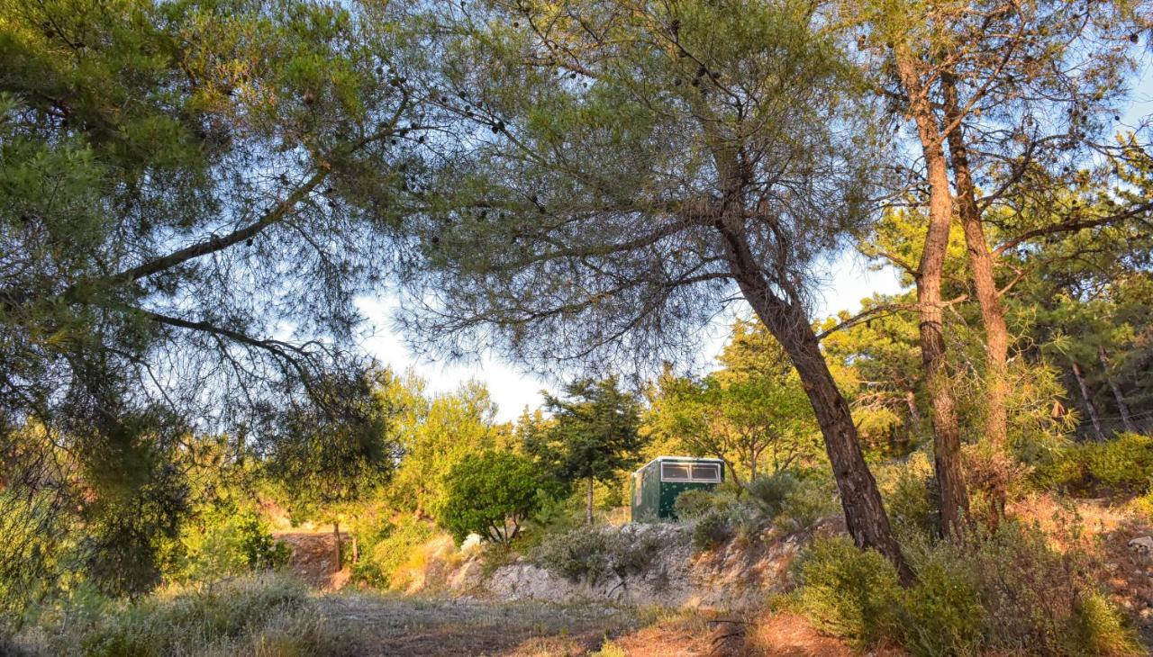 Drolma Ling Nature Cabins Теологос Экстерьер фото