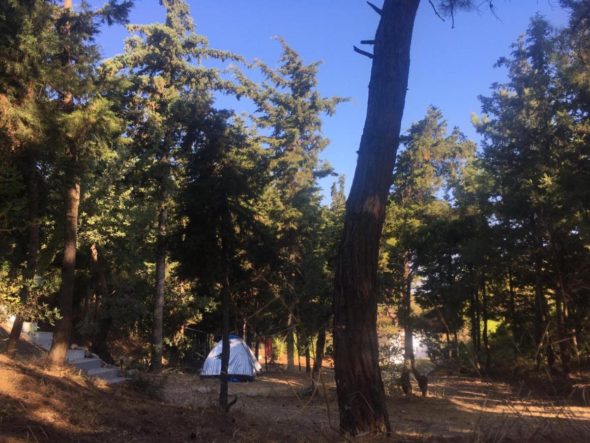 Drolma Ling Nature Cabins Теологос Экстерьер фото