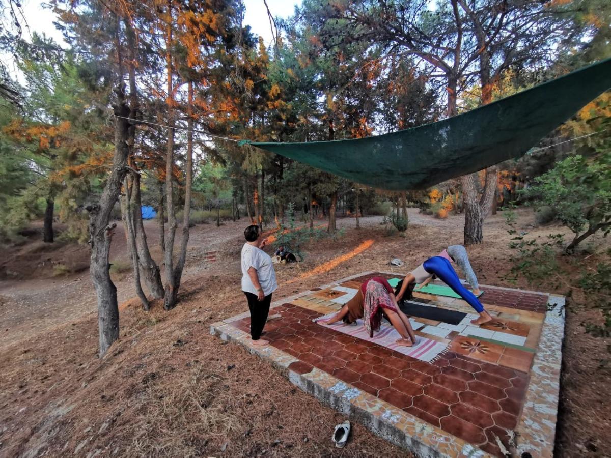 Drolma Ling Nature Cabins Теологос Экстерьер фото