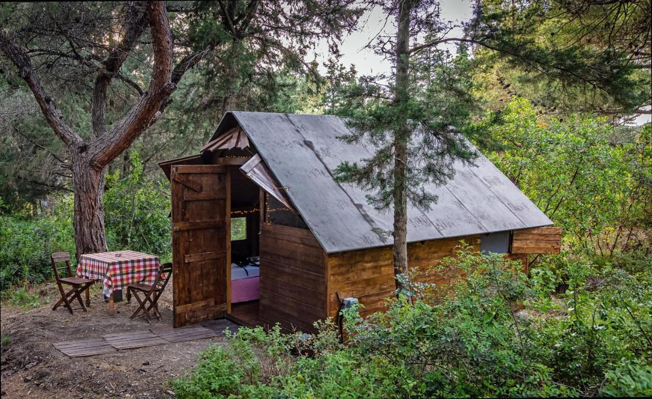 Drolma Ling Nature Cabins Теологос Экстерьер фото
