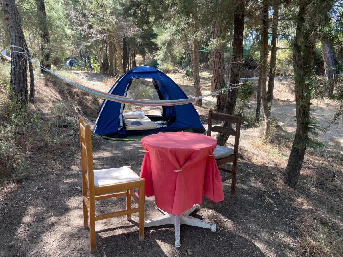 Drolma Ling Nature Cabins Теологос Экстерьер фото