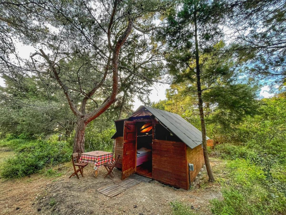 Drolma Ling Nature Cabins Теологос Экстерьер фото