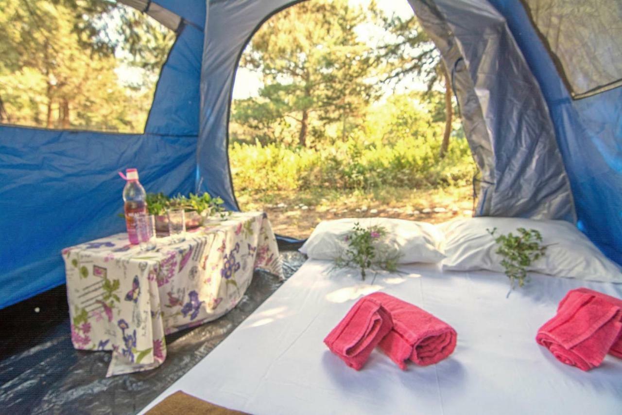Drolma Ling Nature Cabins Теологос Экстерьер фото
